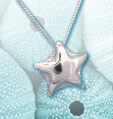 starfish collection