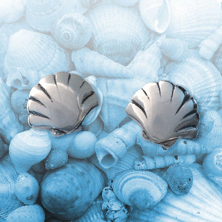 silver shell earrings