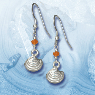 silver clam shell earrings