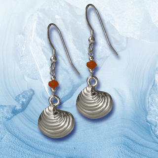 silver clam shell earrings