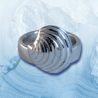 silver clam shell ring