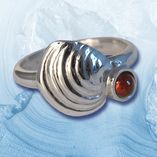 silver clam shell ring