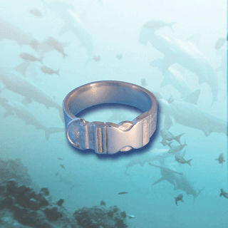 scuba diving bcd ring
