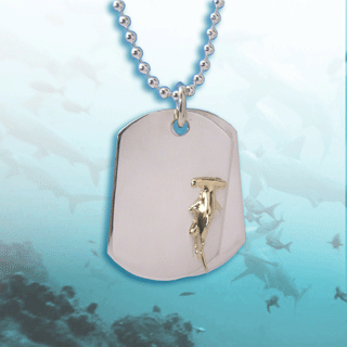 Hammerhead shark dogtags