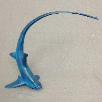 bronze thresher shark