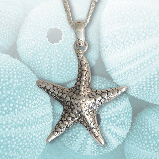 silver starfish jewellery