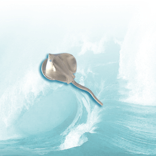 Silver stingray brooch