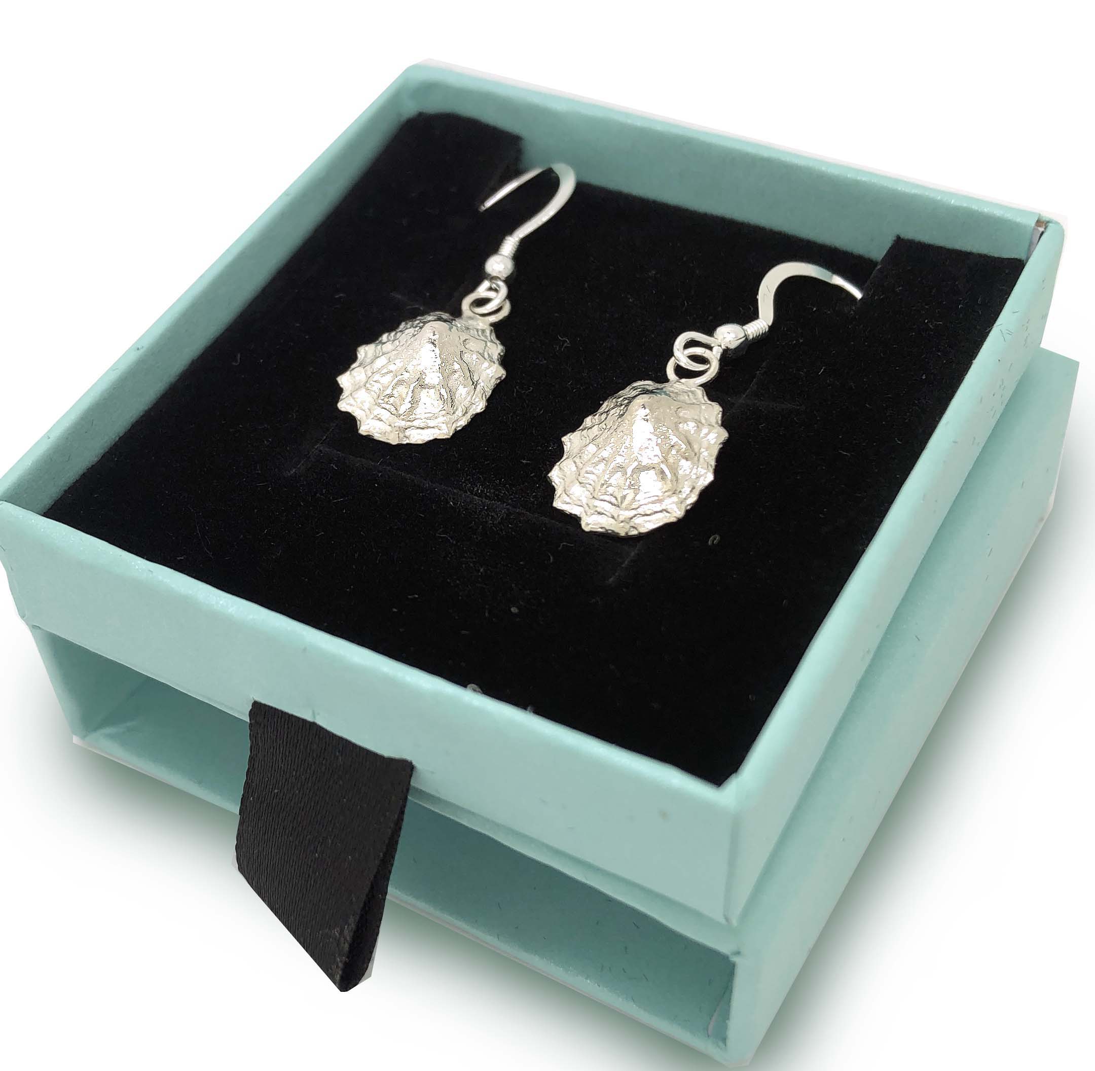 Sea shell earrings in silver
