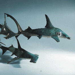 bronze hammerhead sculpture