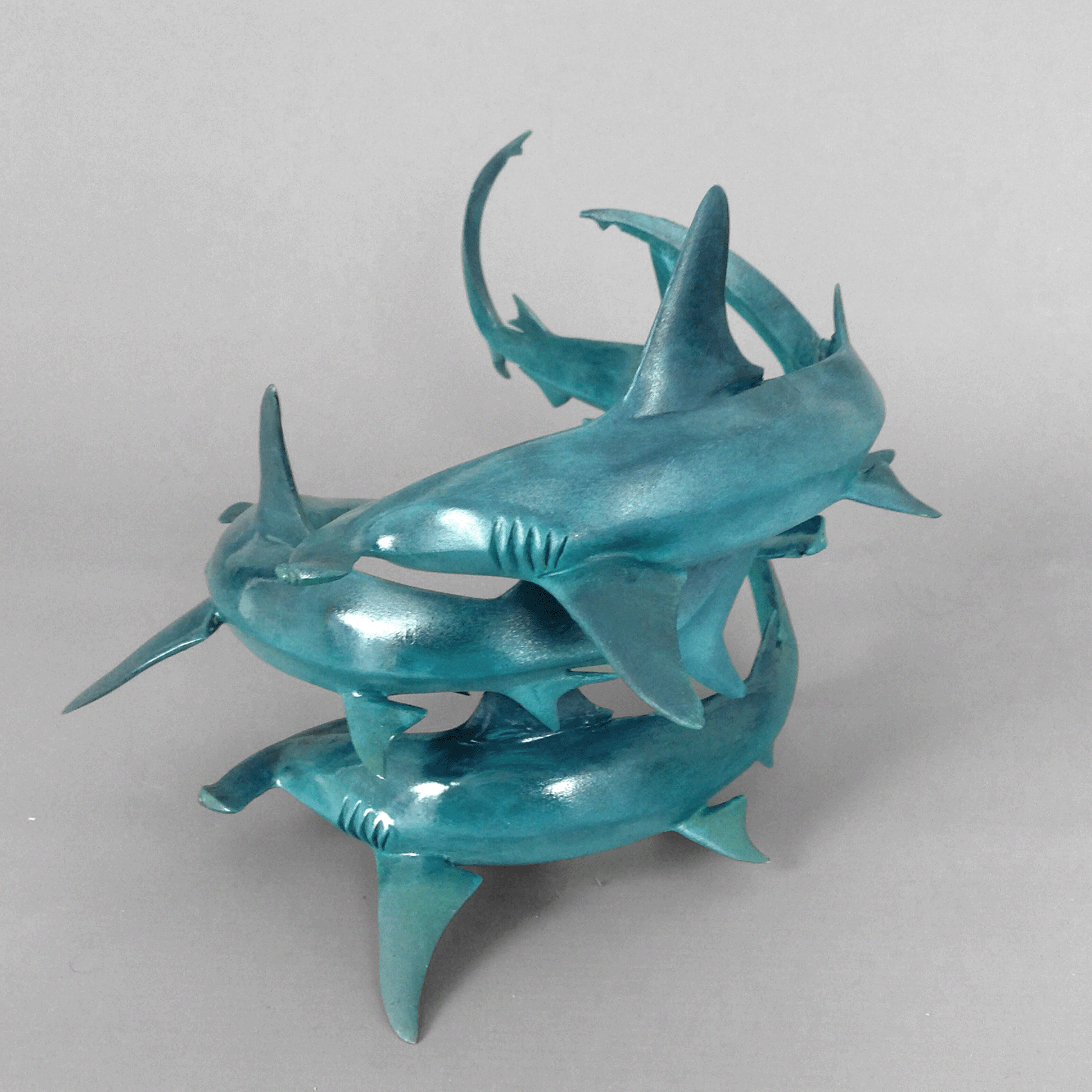shark bronze