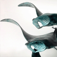 bronze manta ray art