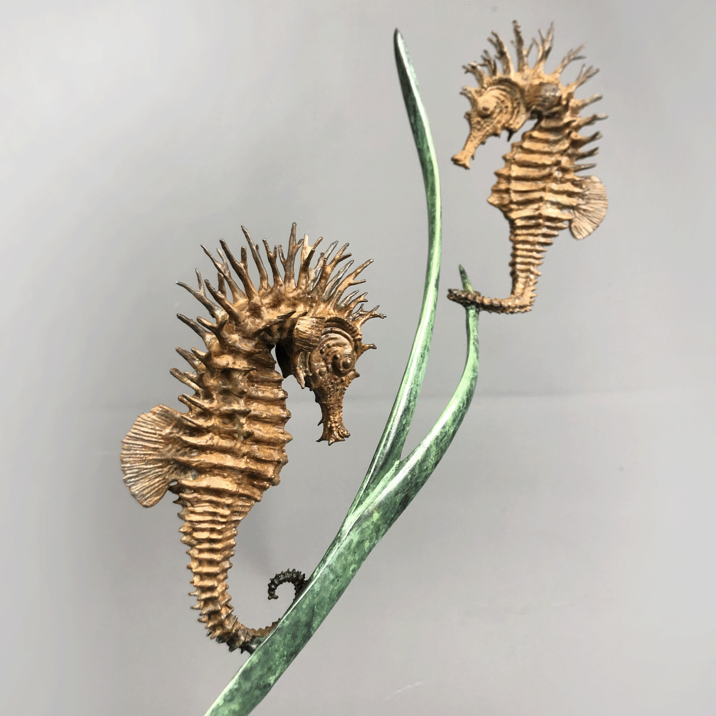 Bronze Seahorse Sculpture by Nicolas  Pain