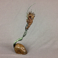 bronze seahorse sculpture