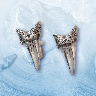 sharks tooth cufflinks