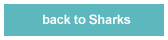 back to sharks