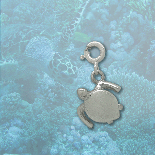 silver turtle charm